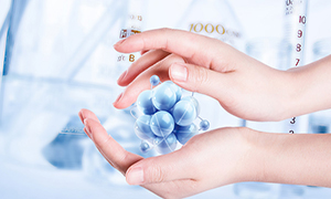 �t(y��)�W(xu��)��ˎ���g��Q����